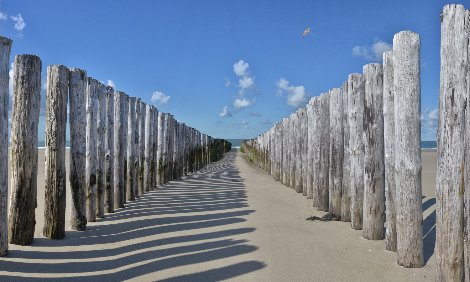 fotowand houten palen op het strand